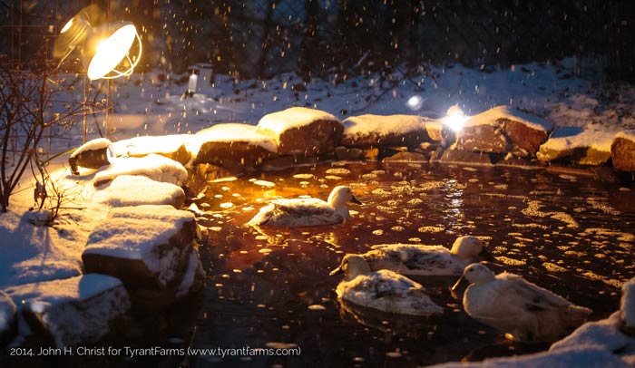 Our girls swimming on a snowy night.