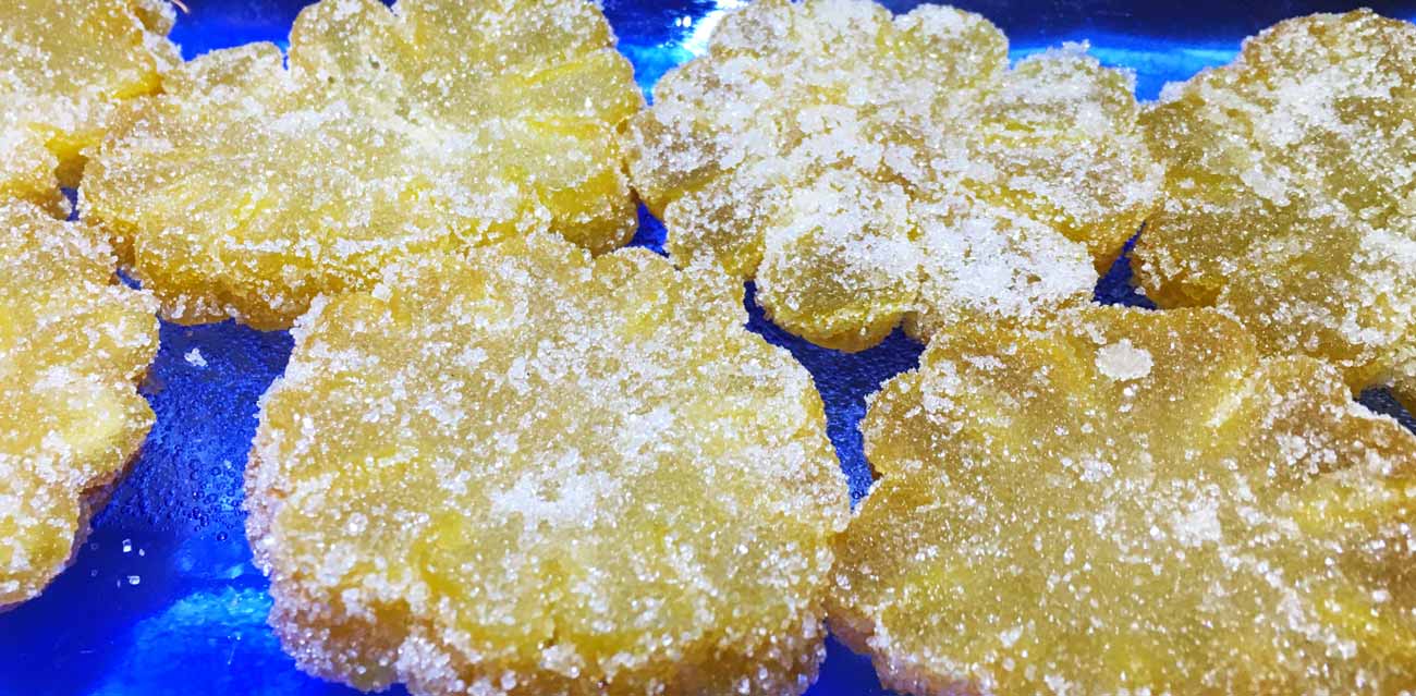 how to grow citrus in pots: Buddha's hand citron candy. Alt.