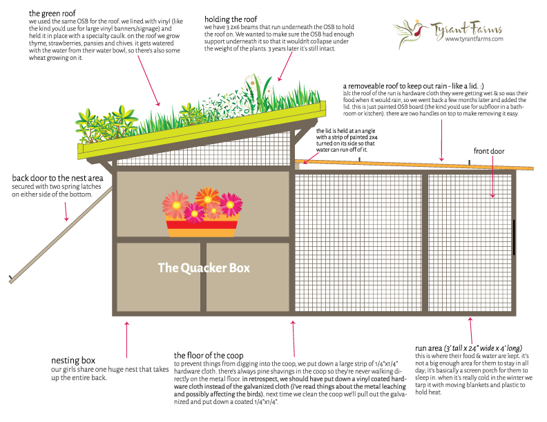 The Quacker Box A Green Roof Duck House Or Duck Coop